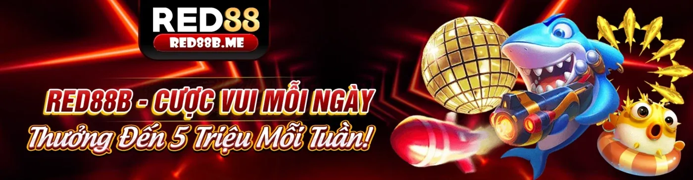 Hình ảnh chính tin tức SOVIP 2026